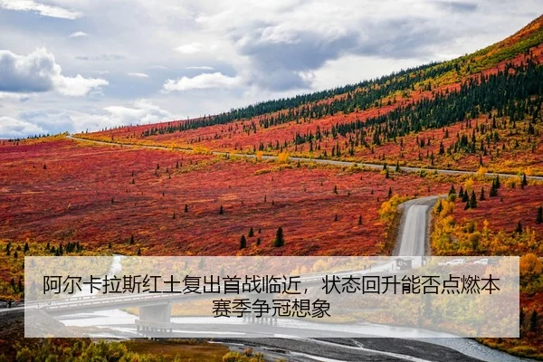 a-er-ka-la-si-hong-tu-fu-chu-shou-zhan-lin-jin-zhuang-tai-hui-sheng-neng-fou-dian-ran-ben-sai-ji-zheng-guan-xiang-xiang-3-117.jpg
